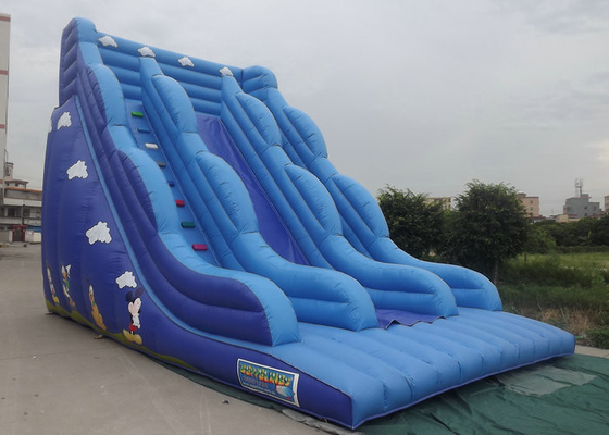 ปราสาท Bouncy พองด้วยสไลด์สีฟ้าตัวการ์ตูนพิมพ์