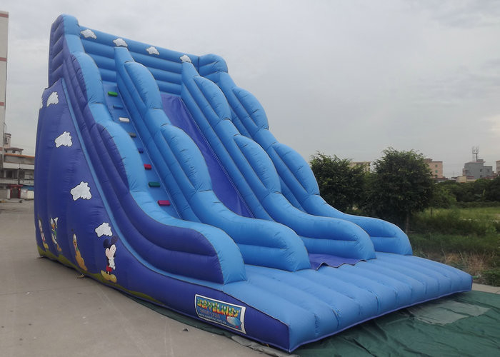 ปราสาท Bouncy พองด้วยสไลด์สีฟ้าตัวการ์ตูนพิมพ์